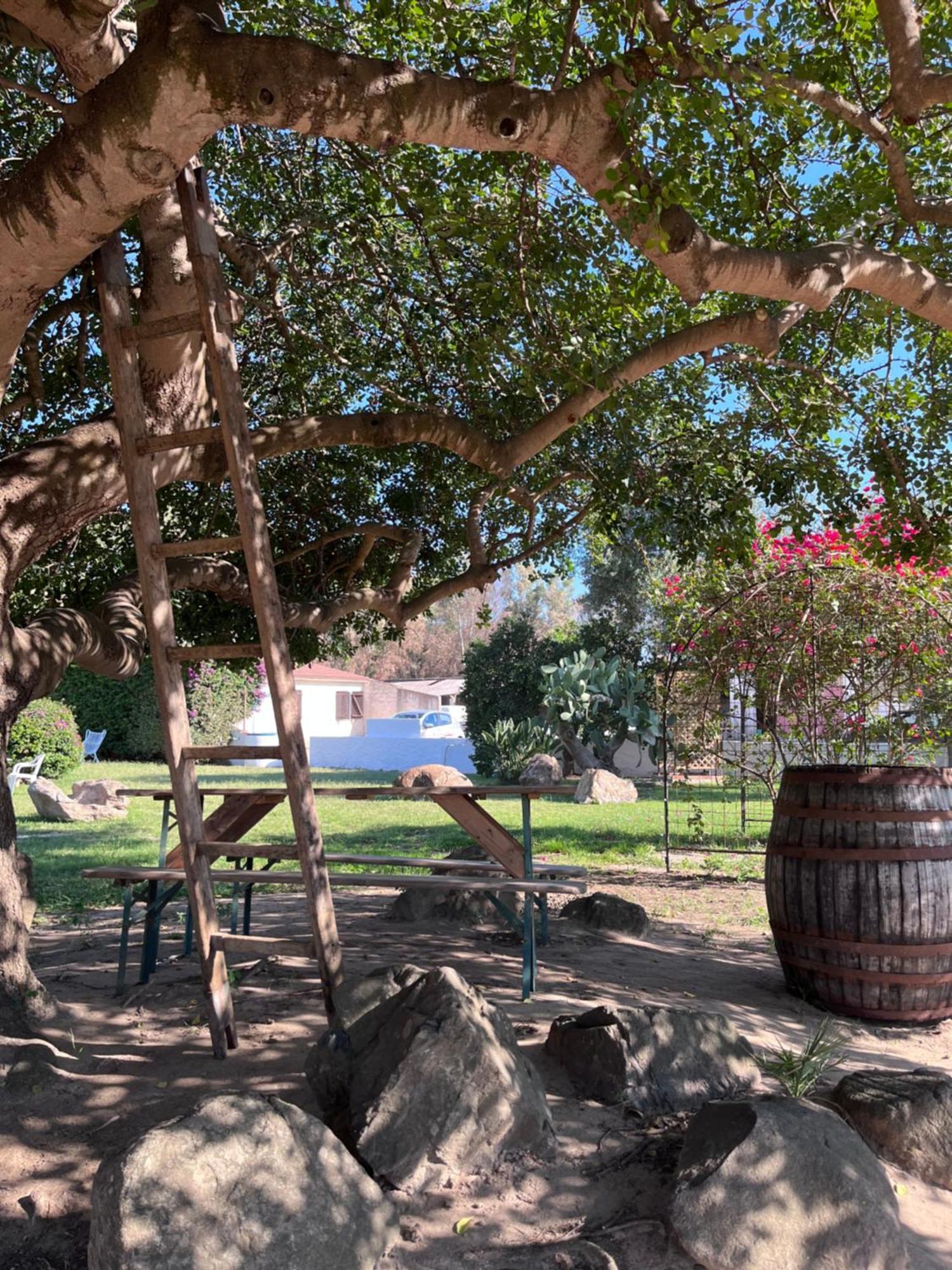 Bed and Breakfast Bidd'E Majori San Priamo Exterior foto